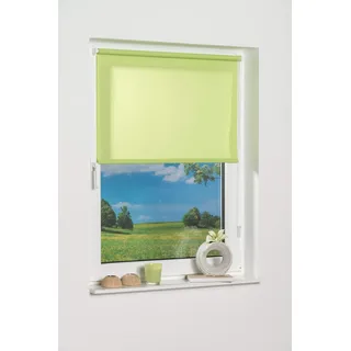 K-home Klemmfix-Minirollo, Grün Tageslicht 40 x 150 (B x L)