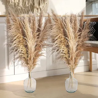 12 Stück Real Pampasgras Trockenblumen Deko, 120CM Groß Pampasgras Getrocknet Blumenstrauß, Pampas Grass XXL für Bodenvase, Schilfblume Flauschige Pampas Deko für Hochzeit Boho Deko Heim Wohnzimmer