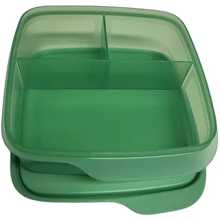 Tupperware to Go Lunchbox Clevere Pause 550 ml Brotdose mit Trennwand Eco+ Schule (grün)