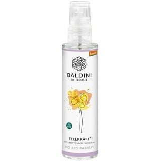 Baldini Raumspray Feelkraft