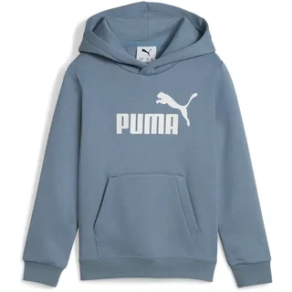Puma ESS No. 1 Logo Hoodie FL PS