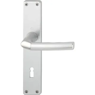 HOPPE Langschildgarnitur F1 grau/silber
