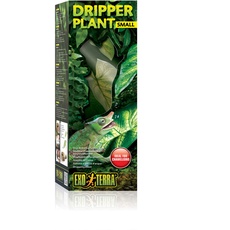 Bild Dripper Plant, Tropfpflanze, Tropfbewässerungssystem mit Pumpe,