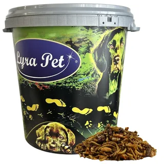 5 kg Lyra Pet® Protein Boost Insekten Mix - mit Mehlwürmern, Shrimps & Grashüpfern in 30 L Tonne