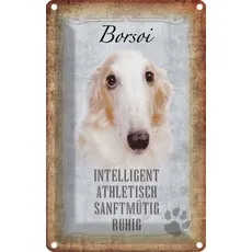 Blechschild 20x30 cm - Borsoi Hund athletisch Geschenk