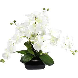 Kunstblume Schmetterling Orchidee 40cm mit Blätter und Luftwurzeln in Schale aus Keramik Künstliche Blume Kunstorchidee Phalaenopsis mit Übertopf Kunstpflanze Hochzeit Deko Seidenblume Real Blüte