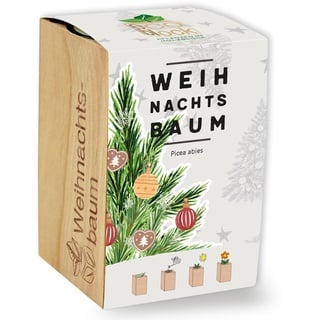 Feel Green ecoblock Weihnachtsbaum, Nachhaltige Geschenkidee (100% Eco Friendly), Grow Your Own/Anzuchtset, Pflanzen im Holzblock, Made in Austria