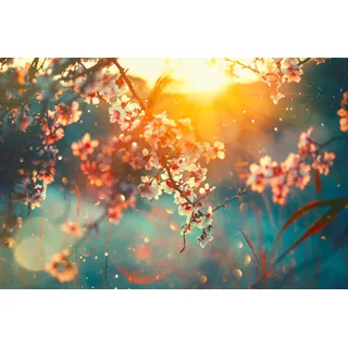 queence Leinwandbild »Cherry Blossom« Bilder vom Sonnenuntergang & -aufgang   Blumen   Blumenbilder   Blätter   Blätterbilder 1 Stk. tlg. Akustikbild mit sehr guten Schallabsorptions-Eigenschaften, blau