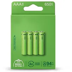Werkseitig vorgeladene AAA-Batterie, 650 mAh, 4 Batterien