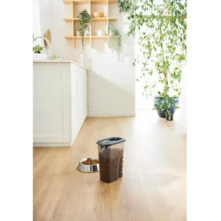 Rotho Tierfutter Schüttdose Flo 4,1 l Transparent/Grau