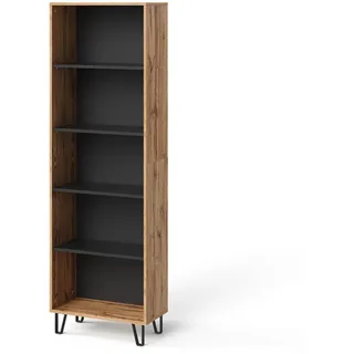 Vicco Bücherregal Amber Eiche Wotan 60 x 186.6 cm , Holzwerkstoff , Rechteckig , 60x186.6x30.1 cm , Wohnzimmer, Regale, Bücherregale