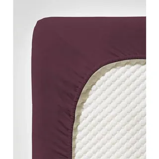 Jenny C 001115 Single-Jersey 120 x 200 cm pflaume