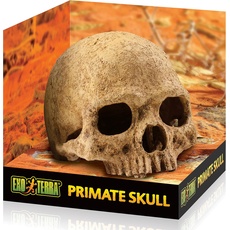 Bild von Primate Skull 17x13.5x11.5cm, Terrariumeinrichtung