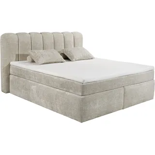ed exciting design 200 x 220 cm Beige
