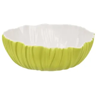 Schale Spirulina Colori hellgrün 5 cm