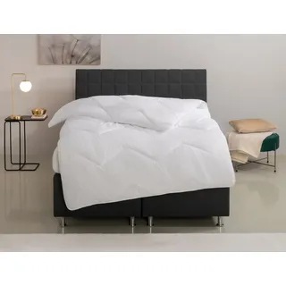 OTTO home Microfaserbettdecke "Sartes, Bettdecke 135x200 cm, 155x220 cm" normal Füllung Polyester Bezug Polyester 1 Stk. tlg. Bettdecken, Sommer, Decke, für Allergiker geeignet, weiß