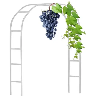 Schwer Rosenbogen Verzinkt Gartenbogen Pergola aus Metall Stabil Hochzeitsbogen Rankgitter, Torbogen Rankhilfe für Kletterpflanzen 120cm 140cm 180cm 200cm 240cm 280cm(White,W1.2 x H2.20m)