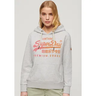 Superdry Kapuzensweatshirt »TONAL VL GRAPHIC HOODIE« Superdry Flake Grey Marl L