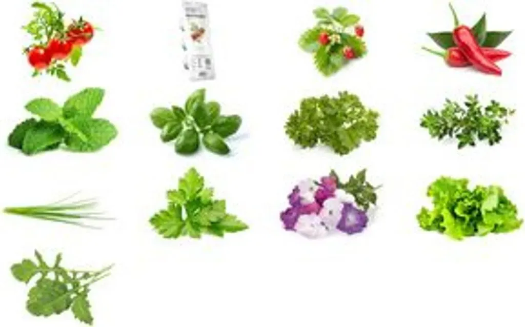 Produktbild