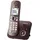 KX-TG6821GA braun