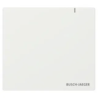 Busch-Jaeger 2CKA006200A0868