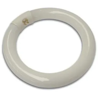VELLEMAN Leuchtstoffröhre, 22 W, rund, kaltweiß, Cold White