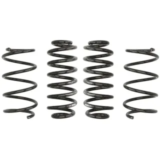 Fahrwerksatz, Federn EIBACH Pro-Kit E10-79-010-02-22