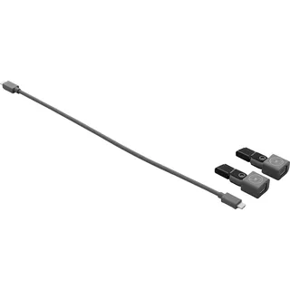 Logitech Mikrofon Netzwerkkoppler, ConferenceCam RALLY Kabel 21.5cm, 2x Netzwerkkoppler