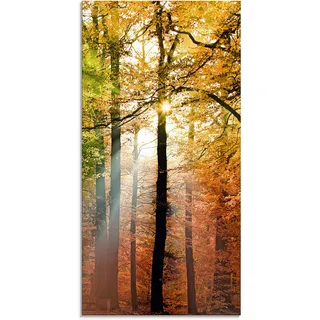 Artland Glasbild »Schöner Herbsttag 2« Wald 1 Stk. tlg. in verschiedenen Größen, braun