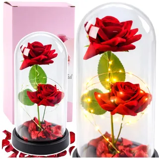 Ewige 2 Rosen Glaskuppel LED Rot 21 cm Geschenk - Rot, Transparent