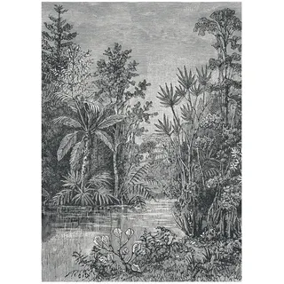 Art for the home Fototapete Dschungel - 200x280 cm