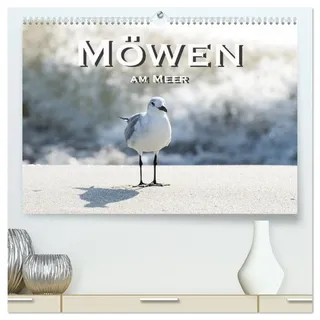 Möwen am Meer (hochwertiger Premium Wandkalender 2026 DIN A2 quer), Kunstdruck in Hochglanz: Faszinierende Möwenbilder an Traumstränden (CALVENDO Tiere)