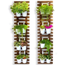 ShopLaLa Wand-Pflanzenhalter – Hängende Pflanzgefäße für drinnen und draußen
