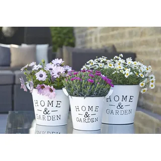 Wunderschönes Zink Pflanzgefäß/Pflanztopf - Home & Garden - Indoor & Outdoor - Frostfest - Weißer Zinktopf/Zinkgefäß/Blumentopf/Tischdeko (Medium - Höhe: 20cm)