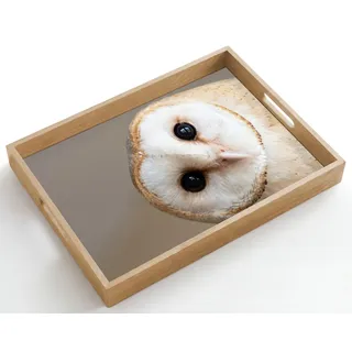 OnlyWow© Tablett Serviertablett rutschfest Griff Küchentablett | 50x35 cm - Rechteckig - Servierplatte Eiche Holztablett Henkel Hitzebeständig Eule - Braun - Weiß