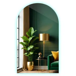 Tulup LED Transparent, Glas, Oval, 60x100x0.4 cm Spiegel Wandspiegel