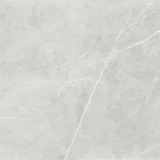 Bild von Bodenfliese Feinsteinzeug Ciana 60 x 60 cm grey
