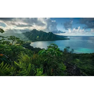 KOMAR Vlies Fototapete Jurassic Island 450 x 280 cm