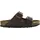 Arizona Braun