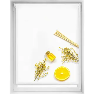 Blindecor Easy Verdunkelungsrollo ohne Bohren, Digitaldruck, Citron, 120 x 150 cm (Breite x Höhe), Stoffgröße 117 x 145 cm, Thermo-Rollo