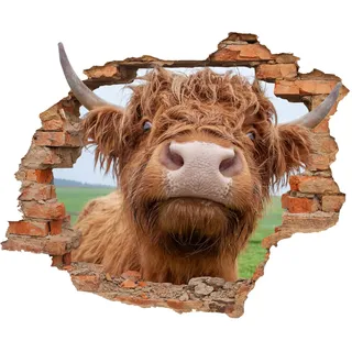 WallSpirit WCB Wandtattoo - Wanddurchbruch mit Aussicht auf Hochlandrind 90 x 74 cm - Wandsticker