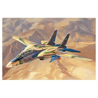 Hobby Boss 081771 1/48 F-14A Tomcat, Persian Cat Katze Modellbausatz, verschieden, Various