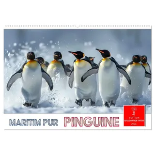 Maritim pur - Pinguine (Wandkalender 2026 DIN A2 quer), CALVENDO Monatskalender: Im Wasser elegant und geschickt -an Land ungelenk (CALVENDO Tiere)