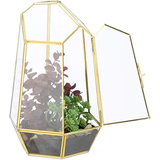 Relaxdays Pflanzenterrarium Glas Kupfer 26 x 18 x 15 cm