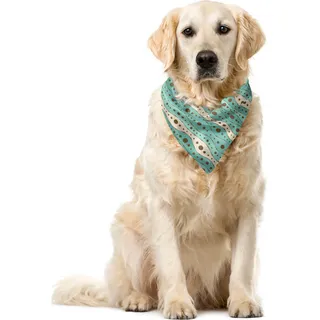 ABAKUHAUS Türkis Haustier Bandana, Traditionelle Tupfen, 40x40 cm, Türkis-Brown-Creme - Türkis