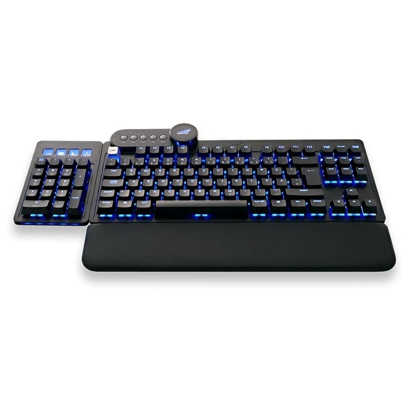 Bild von Everest Max Midnight Black, LEDs RGB, MX RGB BLUE, USB, DE (MG-EVK1B-CB1-DE)