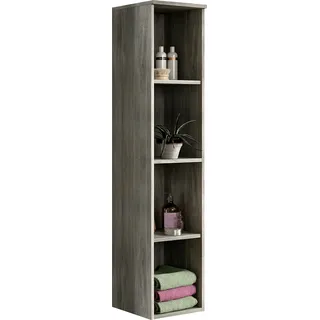 INOSIGN Hängeregal Lecce 30 x 31 x 136 cm Silber