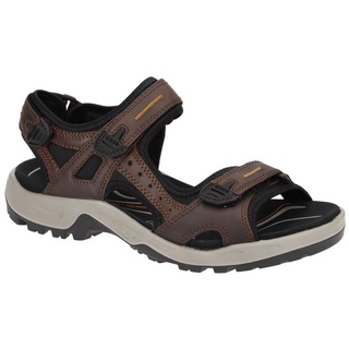 ECCO Offroad Herren espresso/cocoa 45