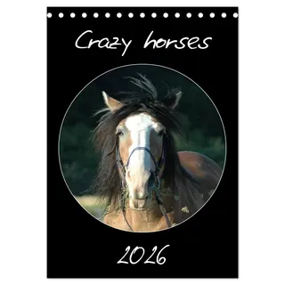 Calvendo Crazy horses (Tischkalender 2026 DIN A5 hoch), CALVENDO Monatskalender: Pferde von ihrer komischen Seite (CALVENDO Tiere)