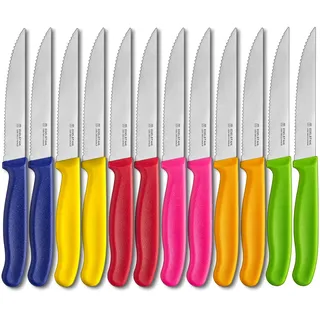 targzier Steakmesser Set 12 teilig,Scharfes Steakmesserset mit Wellenschliff, Steak Messer aus Edelstahl,Bunt Steakbesteck Set,Geeignet für Restaurants,Hotels und Party,Spülmaschinenfest
